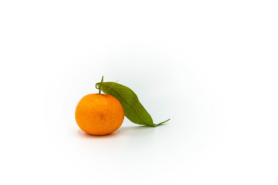 south africa citrus fruit export